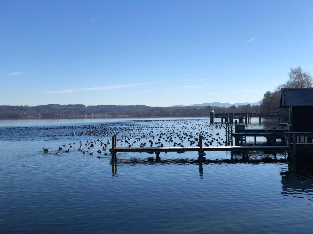 Ferienwohnung Am Starnberger See Seeshaupt Dış mekan fotoğraf